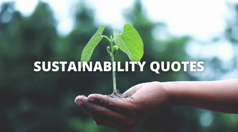 65 Sustainability Quotes On Success In Life – OverallMotivation