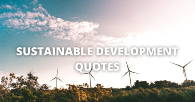 SUSTAINABLE DEVELOPMENT QUOTES featured