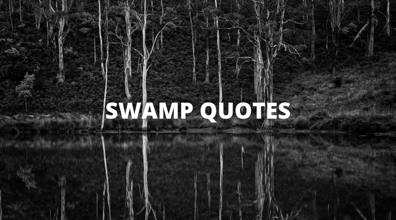 SWAMP QUOTES featured