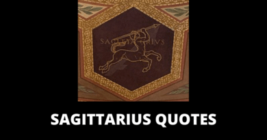 Sagittarius Quotes Featured