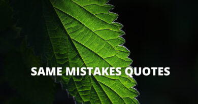 Same Mistakes quotes featured