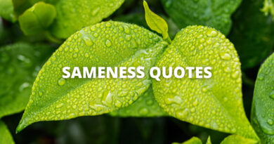 Sameness Quotes featured