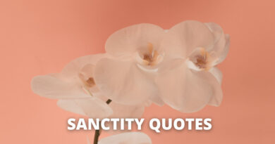 Sanctity quotes featured