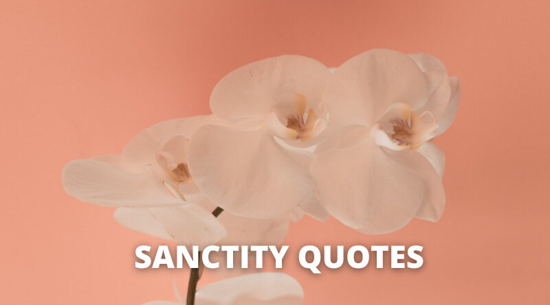 Sanctity quotes featured