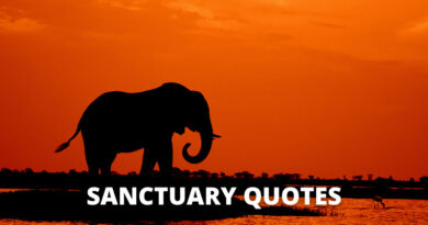 Sanctuary quotes featured