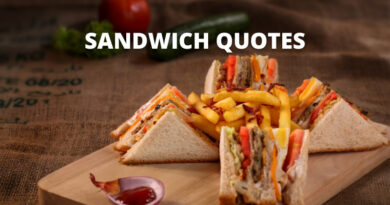 Sandwich quotes featured