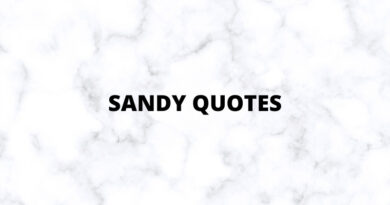 Sandy quotes featured