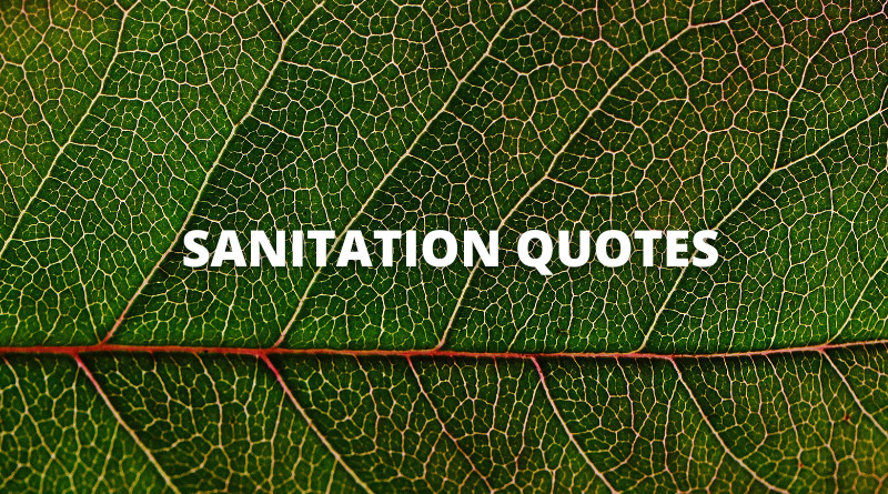 Sanitation quotes featured