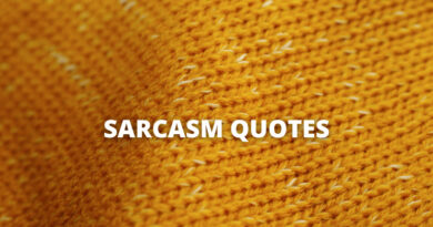 Sarcasm quotes featured