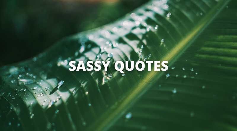 Sassy quotes featured