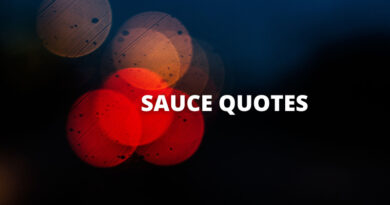 Sauce quotes featured