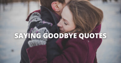 Saying Goodbye quotes featured