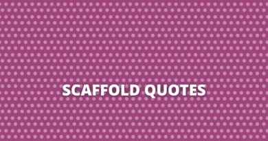 Scaffold quotes featured