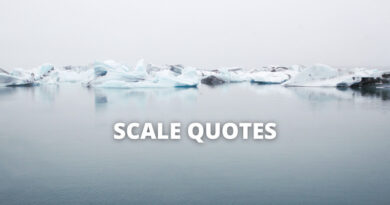 Scale quotes featured