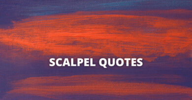 Scalpel quotes featured