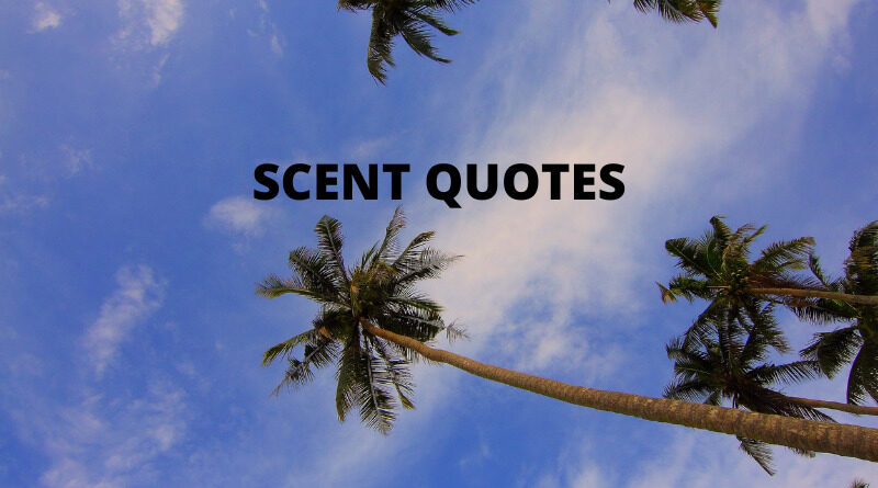 Scent quotes featured