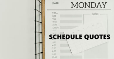 Schedule quotes featured