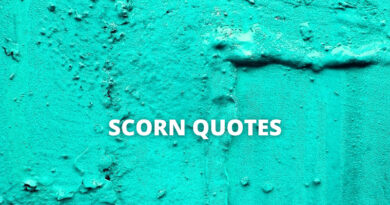 Scorn quotes featured