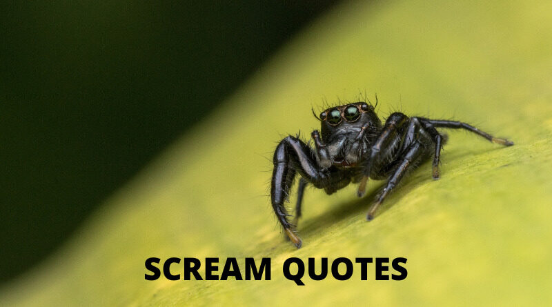 Scream quotes featured