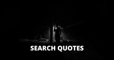 Search quotes featured