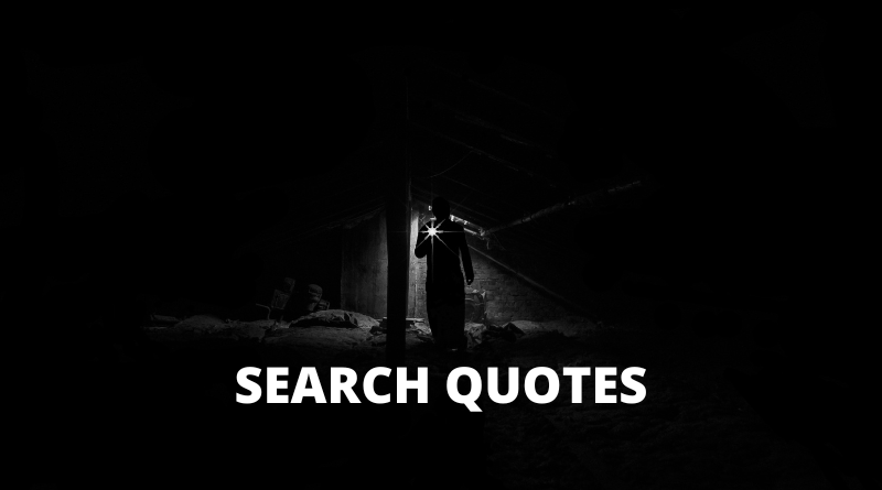 Search quotes featured
