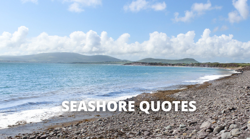Seashore quotes featured