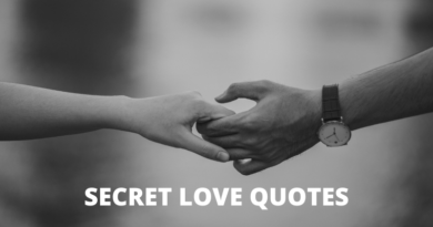 Secret Love Quotes featured