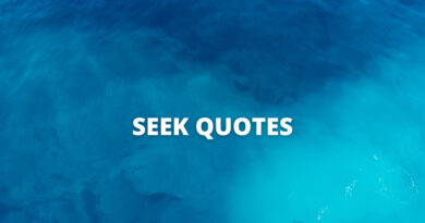 Seek quotes featured