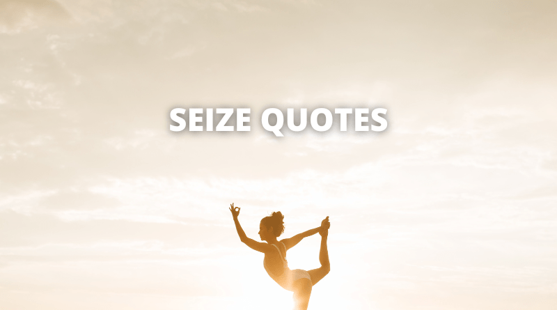 Seize quotes featured