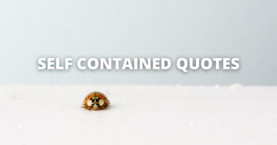 Self Contained quotes featured