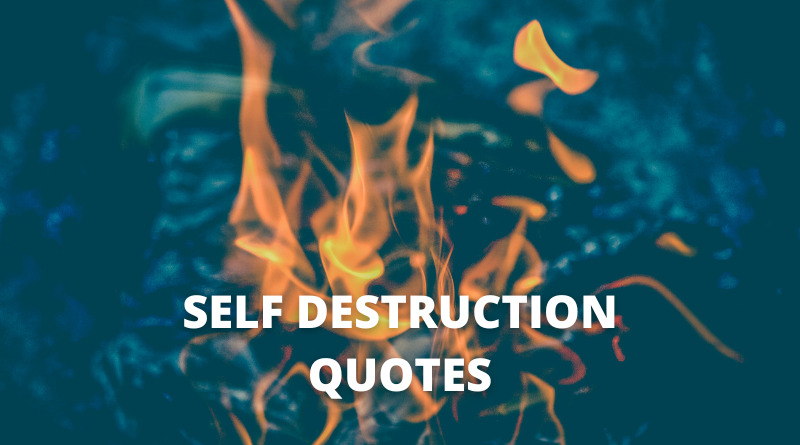 Self Destruction quotes featured