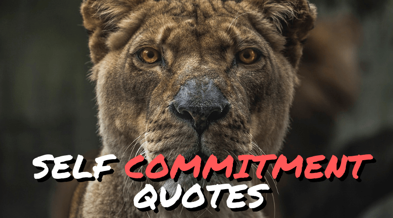Self commitment quotes featured