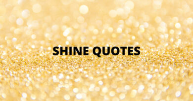 Shine Quotes Featured