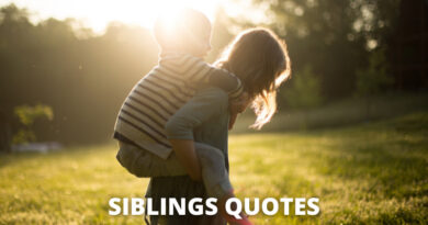Siblings Quotes Featured