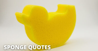 Sponge Quotes Featured