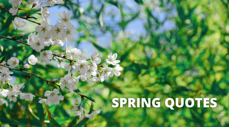 Spring Quotes Featured