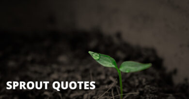 Sprout Quotes Featured