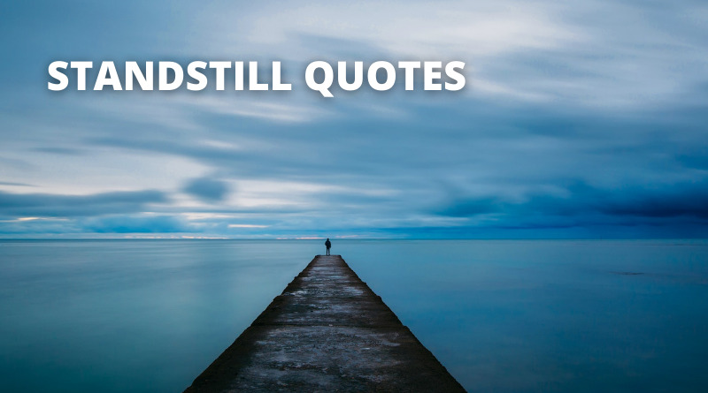 Standstill Quotes Featured