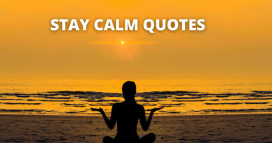Stay Calm Quotes Featured