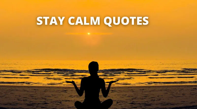 55 Stay Calm Quotes On Success In Life – OverallMotivation