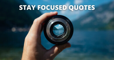 Stay Focused Quotes featured