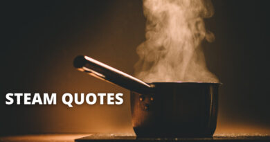 Steam Quotes Featured