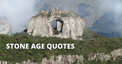 Stone Age Quotes Featured