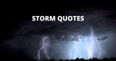 Storm Quotes Featured