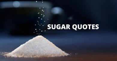 Sugar Quotes Featured