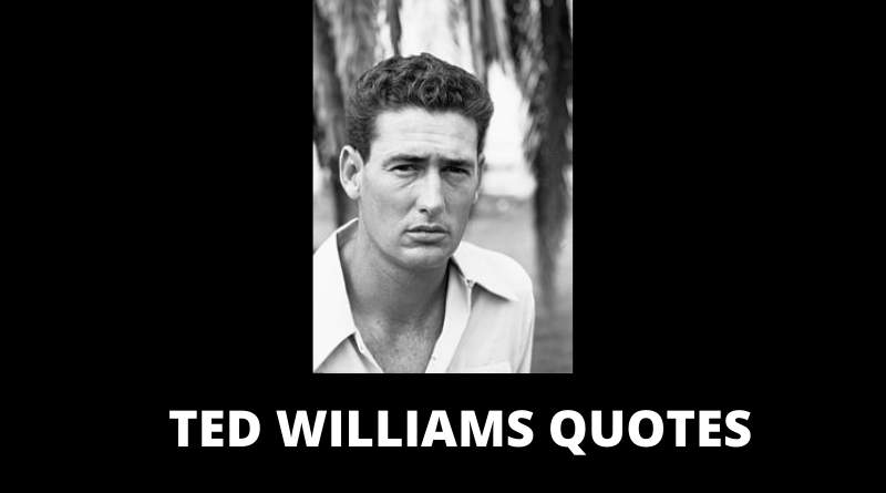 Ted Williams Quotes featured