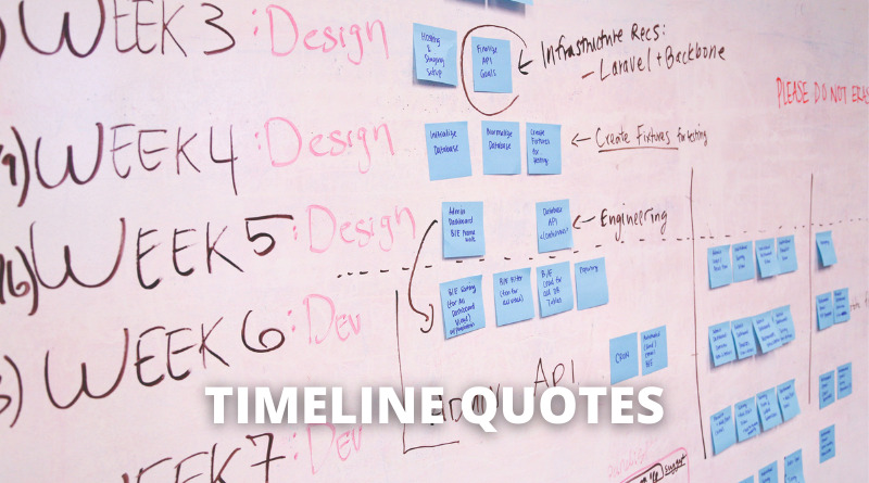 TIMELINE QUOTES featured