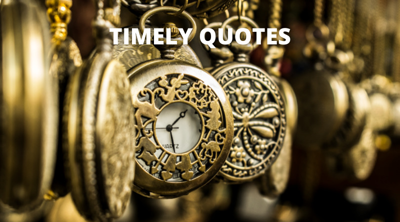 TIMELY QUOTES featured