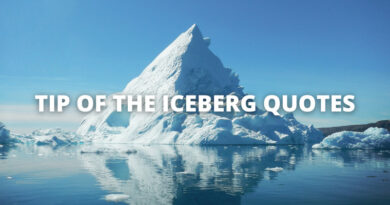 TIP OF THE ICEBERG QUOTES featured