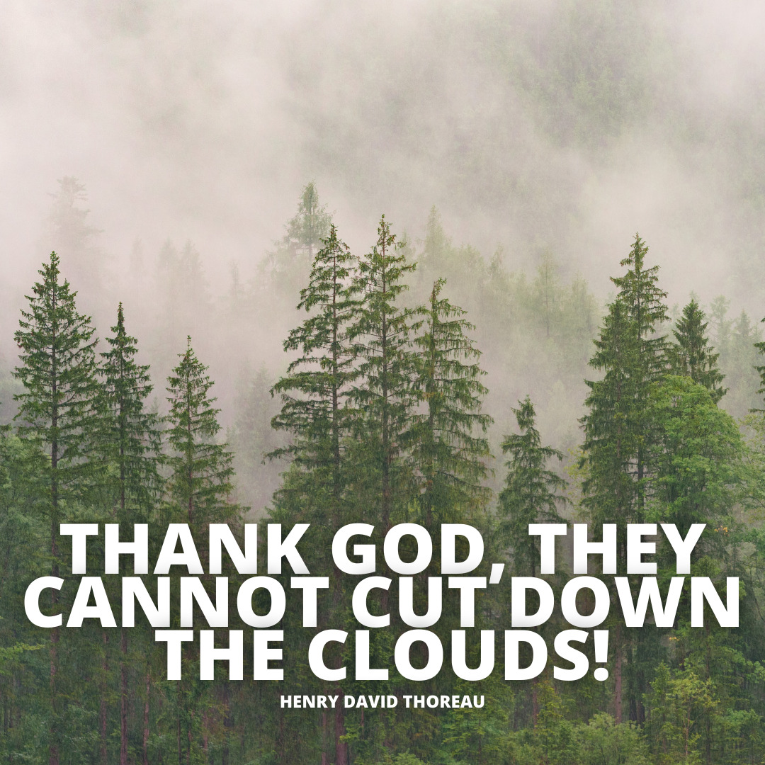 Thank God they cannot cut down the clouds